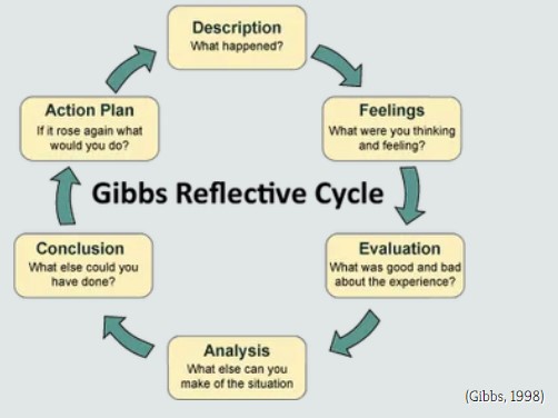 Reflective Practice - Ecg Training